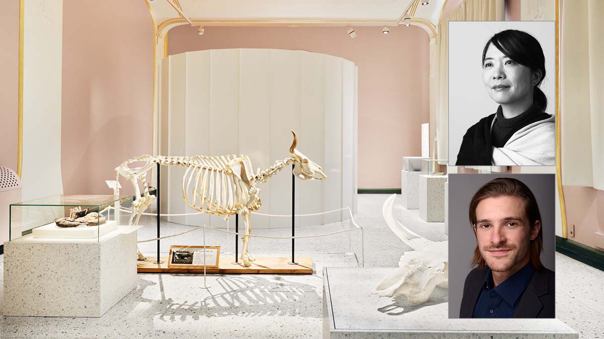 A cow skeleton standing in an exhibition room. Two portrait photos to the right of a woman and a man.
