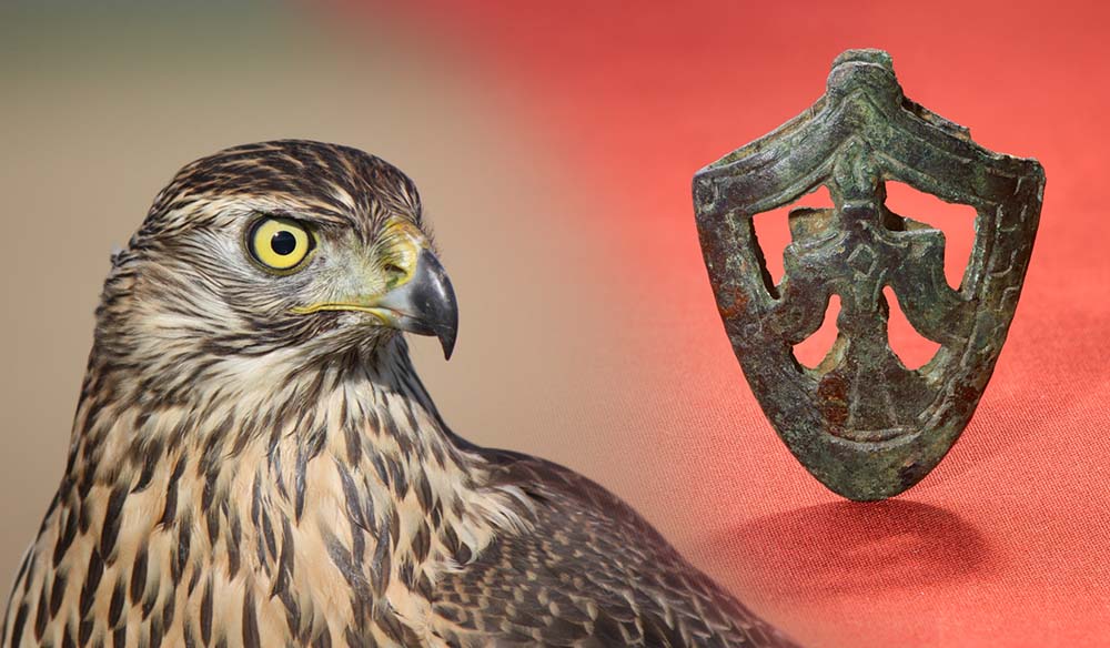 Nærbilde av en jaktfugl og en doppsko pyntet med en falk. Doppsko er tuppen på sliren til et sverd, ofte laget i jern eller metall.