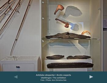 Shoe ,Shelf ,Product ,Lighting ,Shelving.
