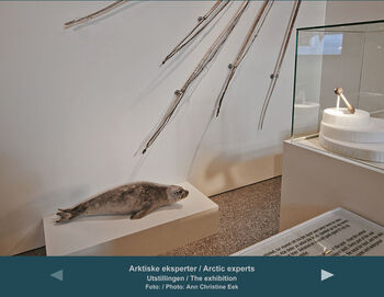 Wood ,Fish ,Fin ,Automotive design ,Rectangle.
