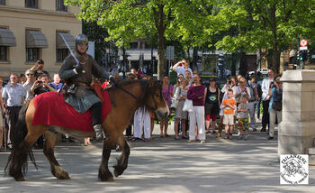 Horse ,Tree ,Horse tack ,Window ,Horse supplies.
