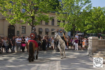 Horse ,Plant ,Tree ,Working animal ,Woody plant.