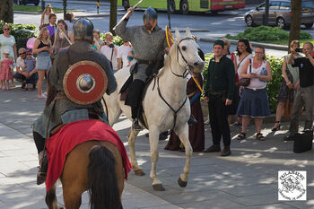 Horse ,Bus ,Working animal ,Horse tack ,Plant.