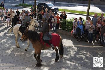 Horse ,Horse tack ,Working animal ,Wheel ,Tire.