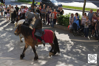 Horse ,Working animal ,Horse tack ,Hat ,Horse supplies.