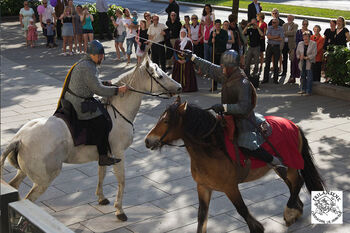 Horse ,Horse tack ,Working animal ,Bridle ,Rein.