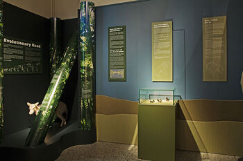 Interior design ,Organism ,Urban design ,Building ,Line.