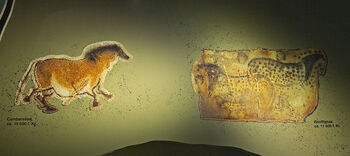 Nature ,Organism ,Art ,Tints and shades ,Tail.