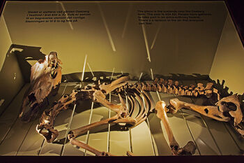 Font ,Space ,Engineering ,Science ,Event.