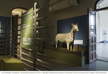 Window ,Interior design ,Fawn ,Wall ,Rectangle.