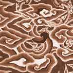 Image may contain: Pattern, Brown, Organism, Carving, Design.