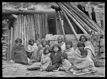 svart ,monokrom ,gardin ,monokrom fotografering ,tre.