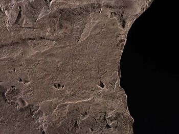 Brown ,Bedrock ,Wood ,Astronomical object ,Trunk.