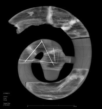 The X-ray image reveals the different components and the large metal pins holding the wood together.