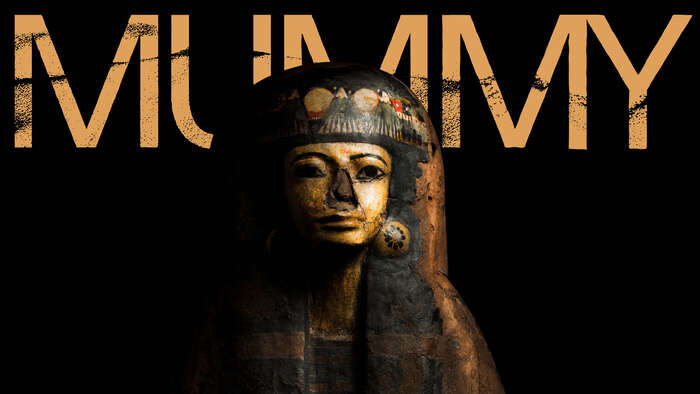 Close up of a mummy sarcophagi