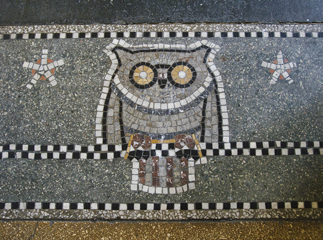 An owl made by floor tiles.