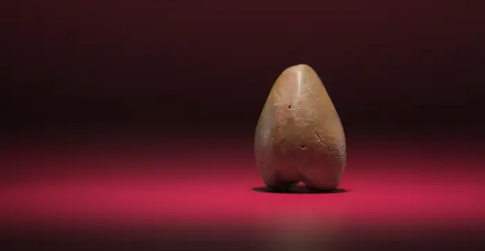 An object resembling a woman’s hip area.