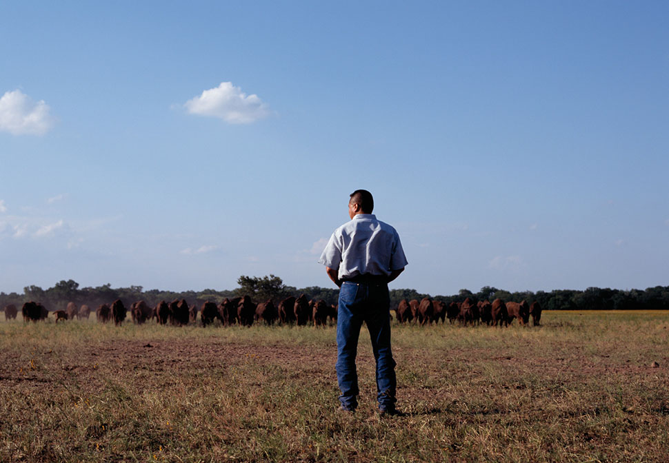 A comanche standing in front of buffaloes