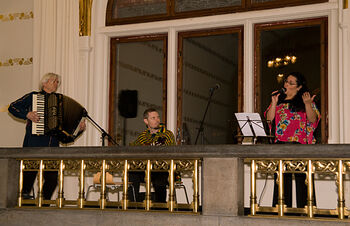 trekkspiller ,gratis reed aerophone ,mikrofon ,squeezebox ,musiker.