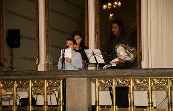 mikrofon ,musiker ,musikk ,scenekunst ,underholdning.