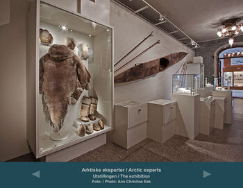 bygning ,interiørdesign ,kunst ,vitrinemonter ,bilderamme.