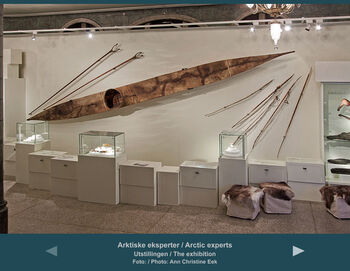 lys ,produkt ,belysning ,tre ,interiørdesign.