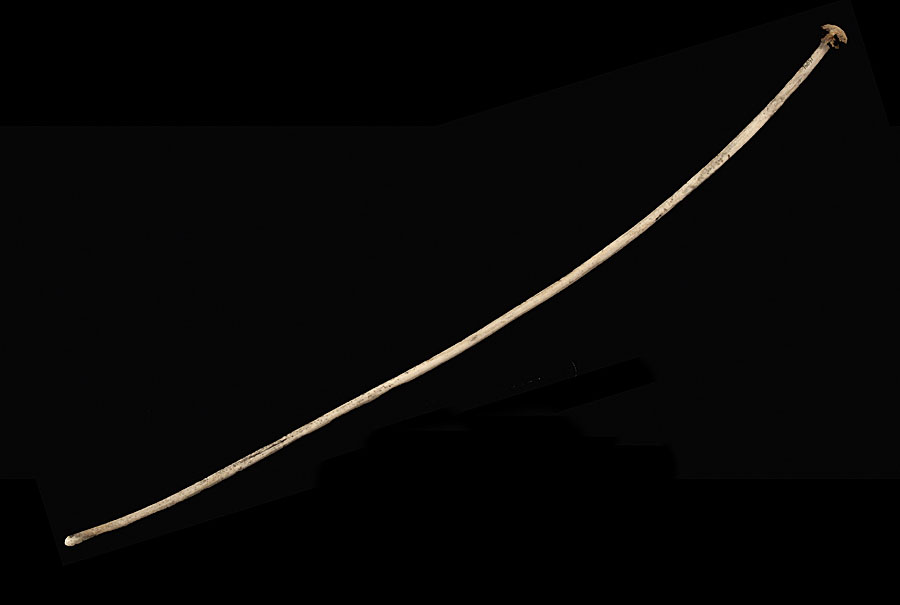 Snøsøker