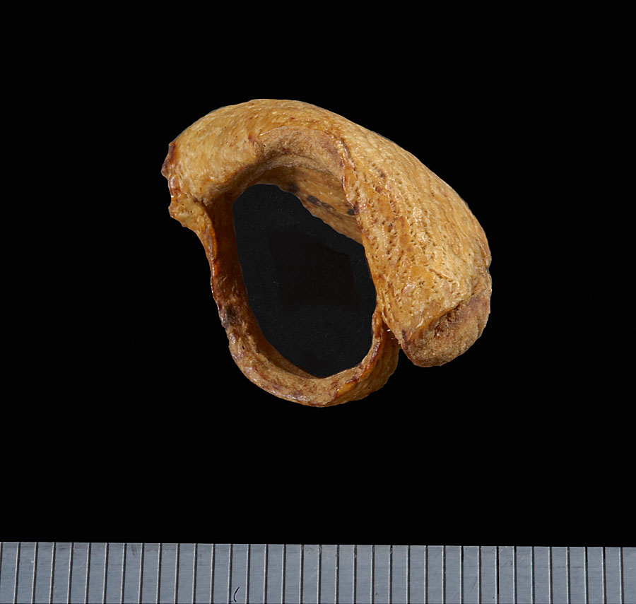 Fingerbøl av selskinn