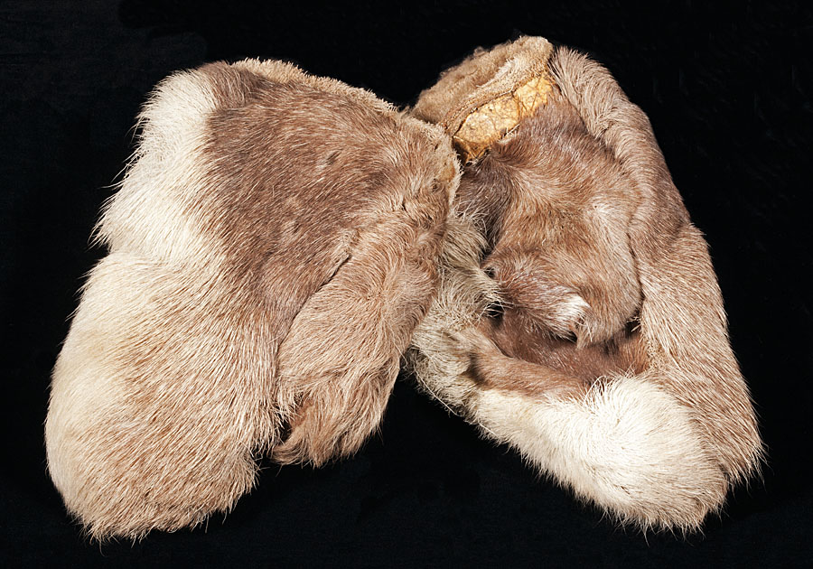 Bildet kan inneholde: brun, mørke, så, fawn, beige.