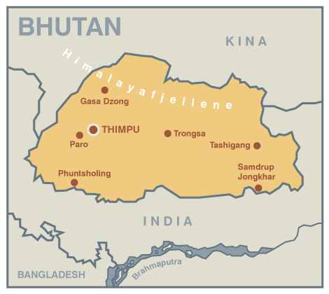 Bildet kan inneholde: brun, gul, hvit, linje, oransje.