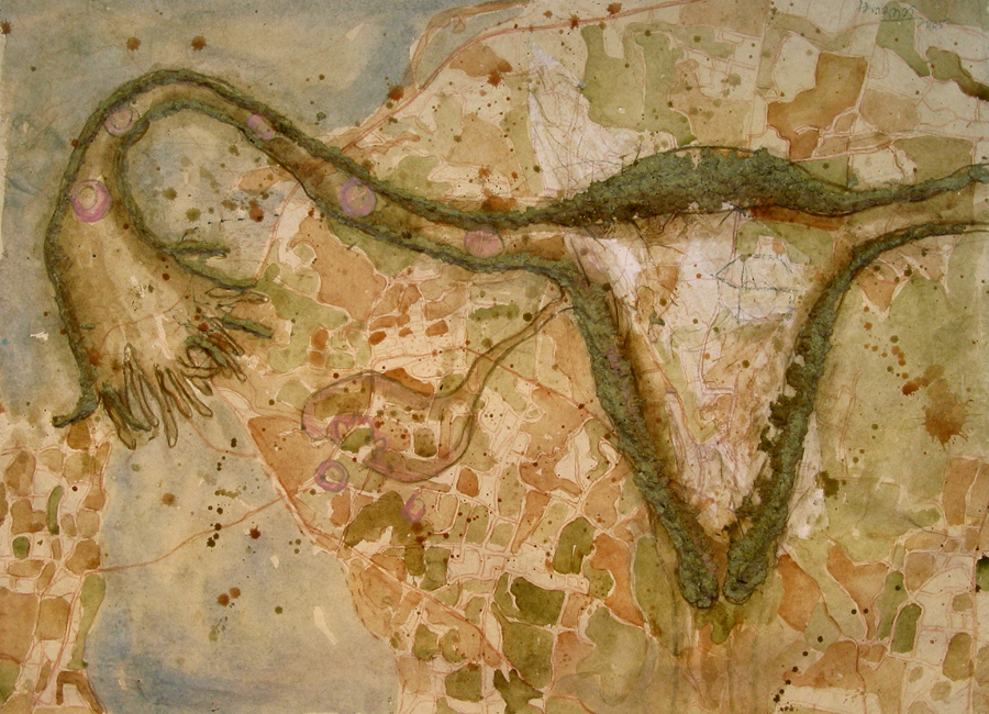 Bildet kan inneholde: natur, vegetasjon, gren, organisme, tre.