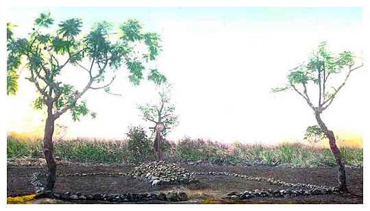 Bildet kan inneholde: anlegg, plantsamfunn, natur, naturlandskap, himmel.