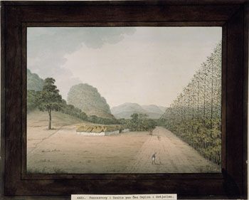 Ceylonmaleren: Canonovery i Candia på Ceylon. (Kat.nr. 4435) Akvarell og gouache på papir. Indremål: 20,7 x 27,8. Ytremål: 28,3 x 35.