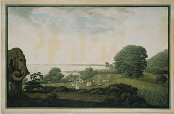 James Wales: Elefantöyen. (Kat.nr. 4454) Etsning, kolorert. Indremål: 37,5 x 59,8. Ytremål: 42,2 x 65,2.