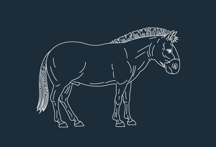 Illustrasjon av en tidligere hesterease kalt Pilohippus
