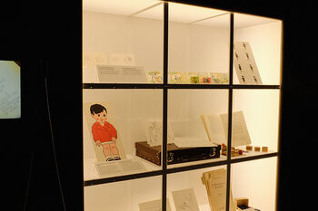 Shelving ,Shelf ,Collection ,Display case ,Transparency.
