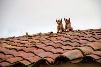 Keramikkokser plasseres på hustaket for å beskytte familien.