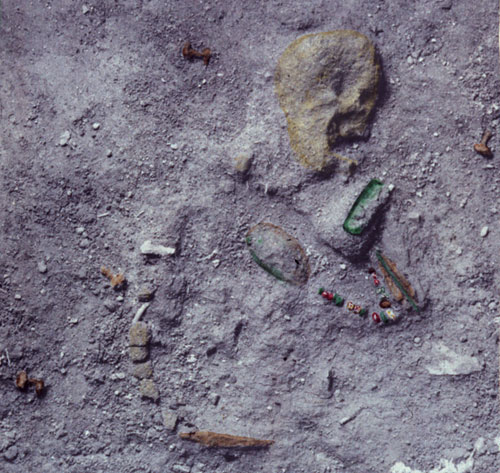 Bildet kan inneholde: jord, organisme, geologi, tilpasning.