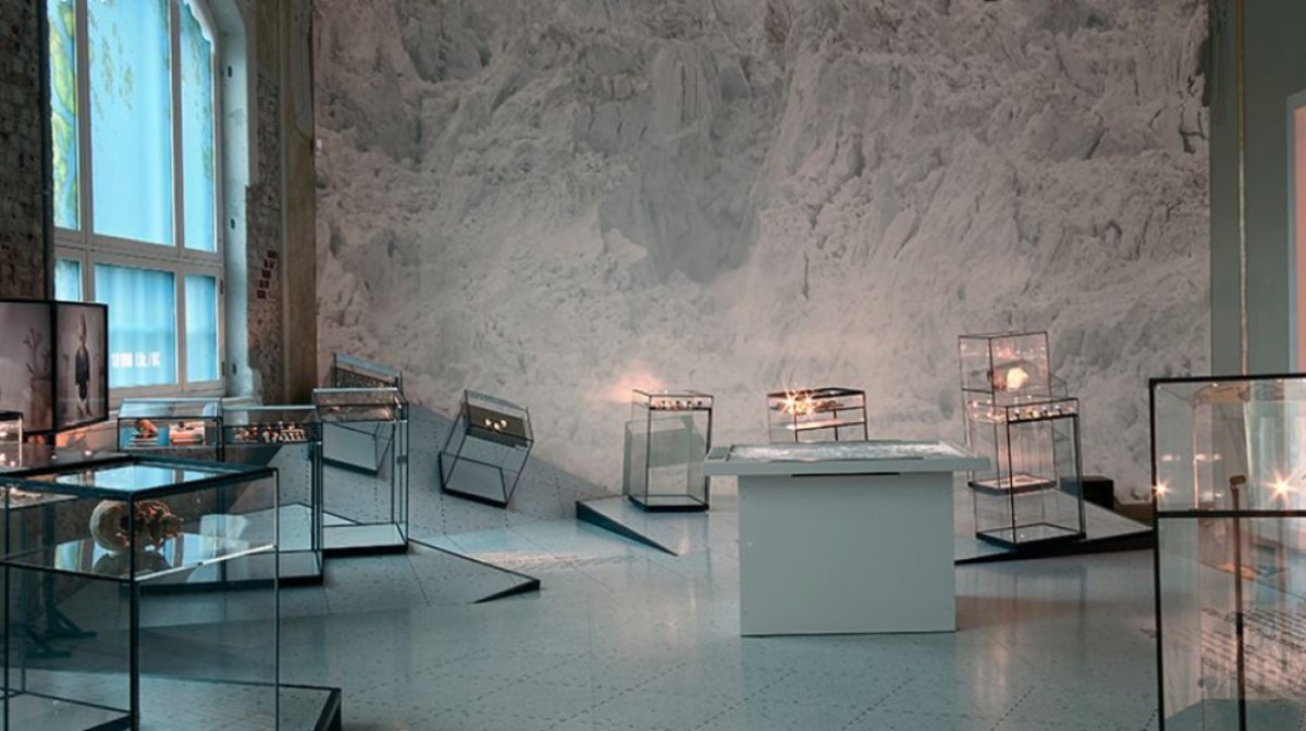 The showroom