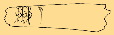 Bildet kan inneholde: gul, linje, så, beige, khaki.