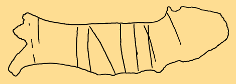 Bildet kan inneholde: gul, oransje, linje, svart, så.