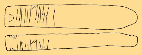 Bildet kan inneholde: brun, gul, linje, khaki, oransje.