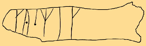 Bildet kan inneholde: svart, gul, linje, blad, linjekunst.