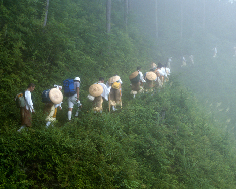 Bildet kan inneholde: plantsamfunn, anlegg, natur, naturlige omgivelser, naturlandskap.