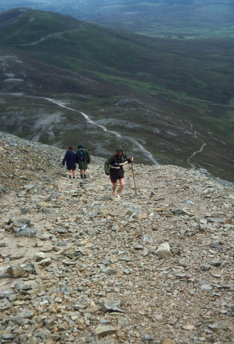 Bildet kan inneholde: fjell, plantsamfunn, anlegg, tre, shorts.
