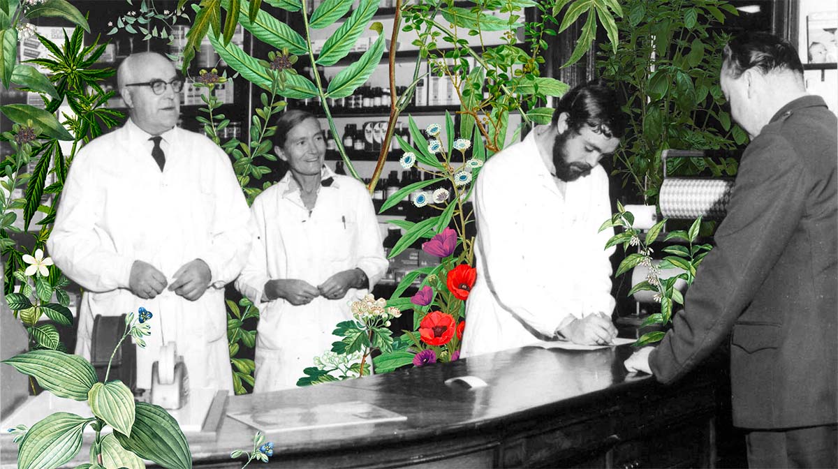 HIstorical image in black and white of men in white coats in an old farmacy. Colorful plant illustrations on top of the pcture.