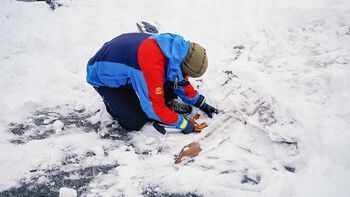 Skien graves forsiktig frem fra nysnøen.
