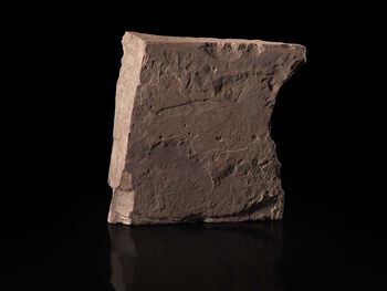 tre ,gjenstand ,rektangel ,berggrunn ,farger og nyanser.
