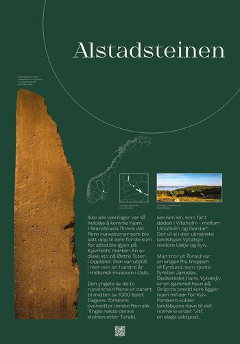 organisme ,font ,terrestrisk plante ,naturlig landskap.